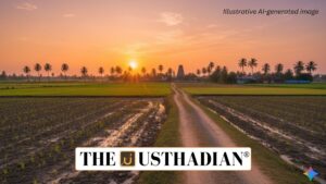 End of the Northeast Monsoon Season in Tamil Nadu