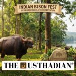 Indian Bison Fest Highlights Debrigarh Wildlife Conservation