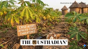 Cassava Brown Streak Disease Threatens Africa’s Staple Crop