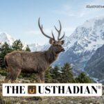 Sambar Deer Spotted in High Himalayan Sanctuaries