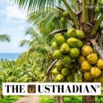 India Leads Global Coconut Production