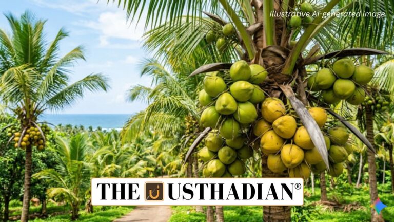 India Leads Global Coconut Production