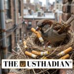 Urban Birds Use Cigarette Butts for Parasite Control