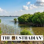 Chennai Mangrove Restoration Initiative