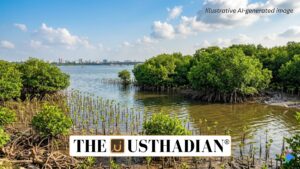 Chennai Mangrove Restoration Initiative