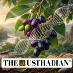 Jamun Evolution Origin Linked to India