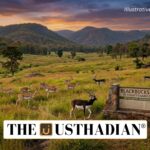 Blackbucks Return to Chhattisgarh Grasslands