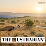 Great Indian Bustard Breeding Success in Gujarat