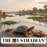 Red Crowned Roofed Turtle Conservation Status