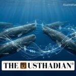 Sperm Whale Communication Shows Language Like Patterns