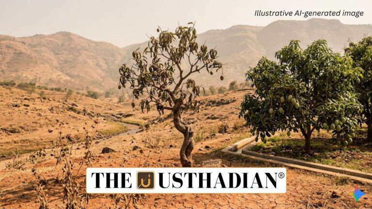 Appemidi Mango Under Climate Stress in Western Ghats