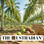 Coconut Promotion Scheme Strengthening Farm Economy