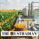 Maize Drives India’s Next Phase of Ethanol Expansion