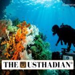 Tricolour Beneath The Waves Creates Historic Guinness Milestone