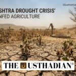 Maharashtra Drought Crisis Tests Rainfed Agriculture
