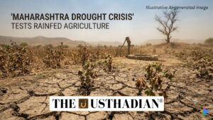 Maharashtra Drought Crisis Tests Rainfed Agriculture