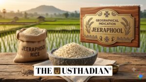 Jeeraphool Rice Gains Importance Through GI Recognition
