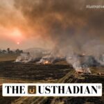 India’s Stubble Burning Crisis and Policy Solutions
