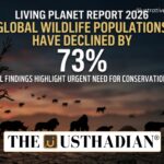 WWF Living Planet Report 2026 Highlights 73% Wildlife Population Decline