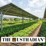 Agrivoltaics in India Combines Farming with Solar Energy