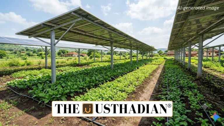 Agrivoltaics in India Combines Farming with Solar Energy