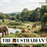World Animal Day and the Global Animal Welfare Movement