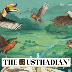 After Kerala Goa Charts India’s Second Comprehensive Bird Atlas