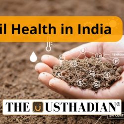 India’s Soil Health Crisis and the Sustainable Food Systems Report