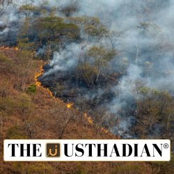 Addressing Land Degradation in Agrifood Systems