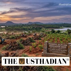 Prosopis Juliflora Eradication in Tamil Nadu