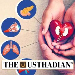 Tamil Nadu’s Rise in Deceased Organ Donation 2024