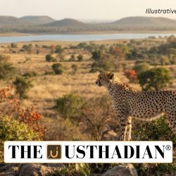 Gandhi Sagar Emerges as India’s Second Cheetah Habitat