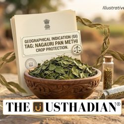 Nagauri Pan Methi Farmers Receive Legal Crop Protection