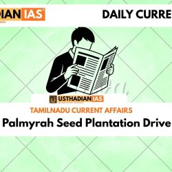 Palmyrah Seed Plantation Drive