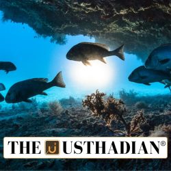 India’s First Fully Digitised Marine Fisheries Census 2025