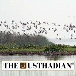 Gogabeel Lake Recognised as India’s 94th Wetland of International Importance