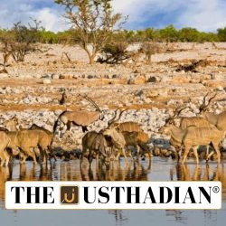 Ungulate Crisis in India