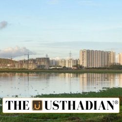 Construction Halt near Pallikaranai Marshland