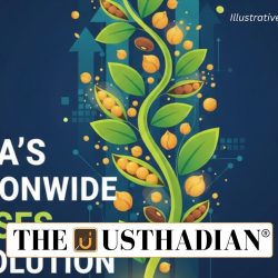 India’s Nationwide Pulses Revolution from Amlaha