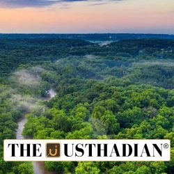 CA images India Climbs to 9th Globally in Forest Area
