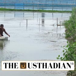Sundarbans Aquaculture Model Gains Global FAO Recognition