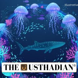 Hidden Marine Biodiversity off West Bengal Coast