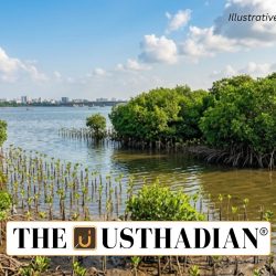 Chennai Mangrove Restoration Initiative