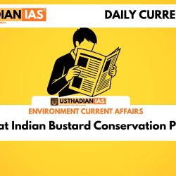 Great Indian Bustard Conservation Push