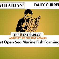 India’s First Open Sea Marine Fish Farming Initiative