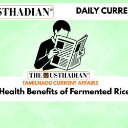 Health Benefits of Fermented Rice